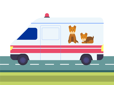 Ritiro a domicilio per animali defunti